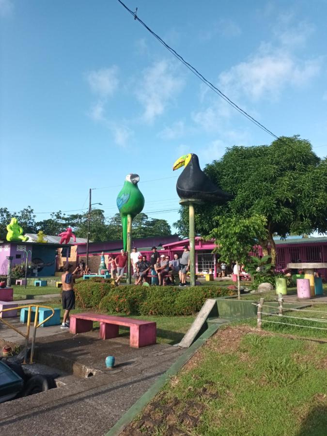 Appartamento Caimán 3 Tortuguero Esterno foto
