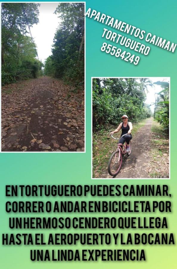 Appartamento Caimán 3 Tortuguero Esterno foto