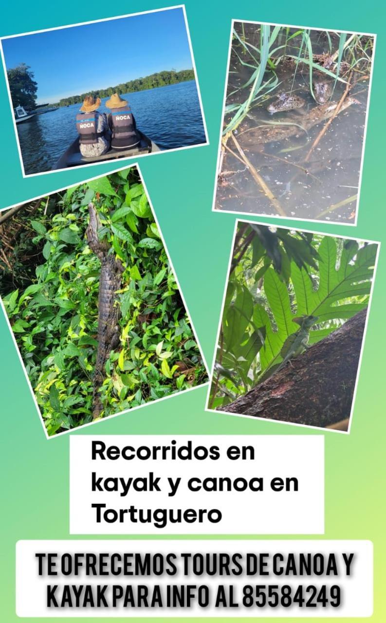 Appartamento Caimán 3 Tortuguero Esterno foto